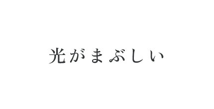 光がまぶしい