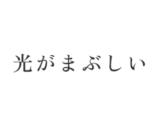 光がまぶしい