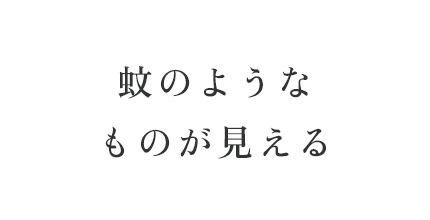 蚊のようなものが見える