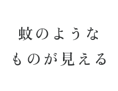 蚊のようなものが見える