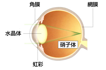 正常